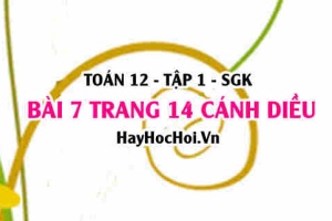 Bài 7 trang 14 Toán 12 tập 1 Cánh Diều
